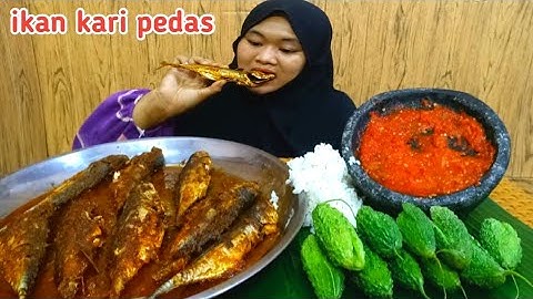 IKAN KARI PEDAS SAMBEL TERASI LALAP PARE
