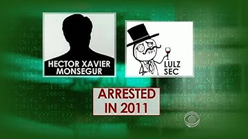 Members of Anonymous/Lulzsec arrested