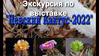 ВЫСТАВКА КАКТУСОВ В САНКТ-ПЕТЕРБУРГЕ / НЕВСКИЙ КАКТУС -2022 / ОБЗОР / ЭКСКУРСИЯ