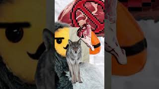 NO PUEDES DOMESTICAR CARNIVOROS