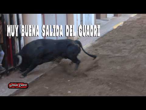 IMPRESIONANTE SALIDA DEL CUADRI