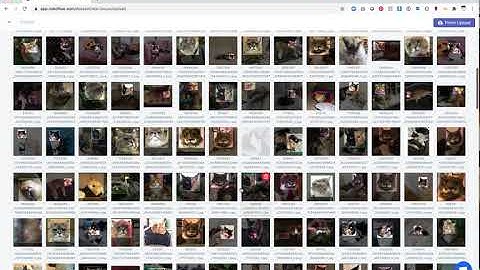 Creating the Correct Object Detection Dataset Format with Roboflow