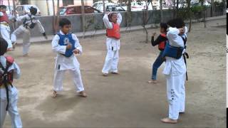 Negis - The School Of Martial Arts - Charged Particles