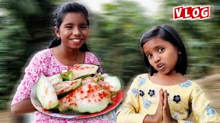 Hamare Bagicha me Dekhiye Kitna Bada Amrood Mila 😋 | Tiki Hena Vlogs