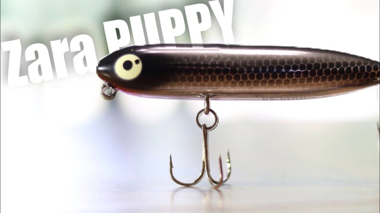 BEST Creek Topwater Lure. Zara Spook Puppy. How to fish + tips! 