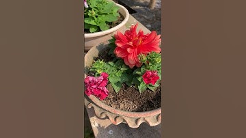 JUST WOWED😳/ blogger template / blogger bangla tutorial /#vlog