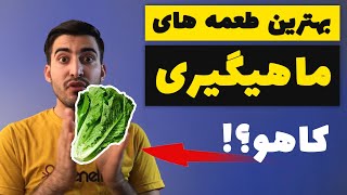 بهترین طعمه ها برای صید ماهی های ایران (بهترین طعمه های ماهیگیری)