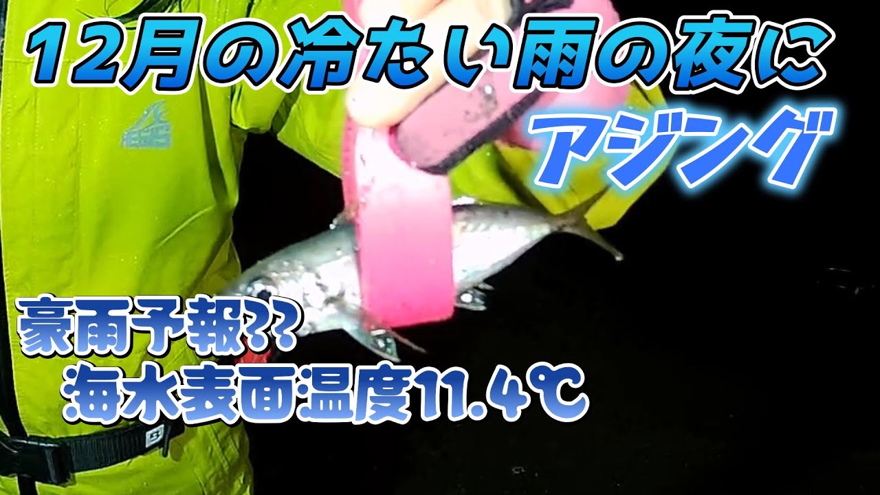 2025.12.20 12月の冷たい雨の夜にアジング