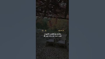 ستوريات انستا بدون (حقوق) قرآن كريم بصوت جميل ستوريات دينيه ستوري انستا فديوهات هادئه ستوري قرأن .🤍