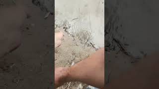 Рыбалка на Кубани лето