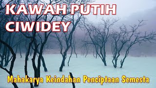Berasa Masuk ke Alam Lain | Kawah Putih Ciwidey Bandung | 4K Video