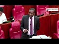 Listen to what Sen Sifuna said during his submission in Senate today.