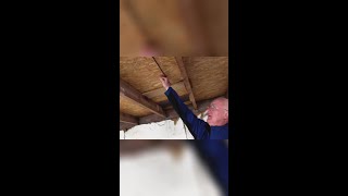 Slechte Constructie Wat Gaat Hier Mis Met De Balken En Platen?