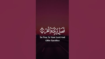 إڪتب شيء تؤجر عليہ♥️.#سورة_الكوثر #ماهر_المعيقلي #تلاوات
