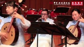 The Grand Chinese New Year Concert 2016