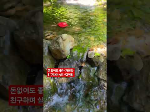 돈이고 <strong>나발이고</strong> 이러고 살다 갈란다