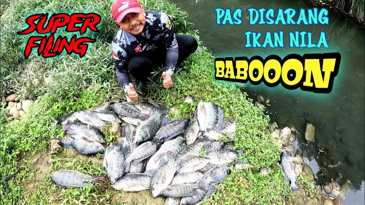 filing yang bagus🤔jala ikan pas di sarang nila babon yang lagi rapat‼