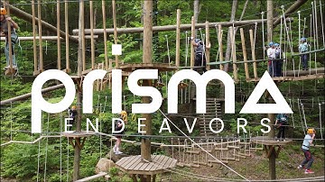 Prisma Endeavors Trailer