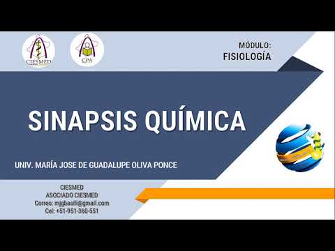SINAPSIS QUÍMICA .- CIESMED