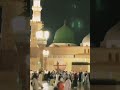 আমাট মনে নবী নবী, দুই চোখে মদিনার ছবি।