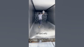 🔥Frozen fish unloading guide! Experienced fish shopper tips for avoiding pitfalls