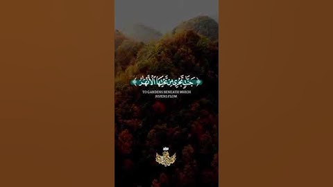 إن الله يدخل الذين آمنوا وعملوا الصالحات جنات تجري من تحتها الأنهار = سورة الحج= #عبدالباسط_عبدالصمد