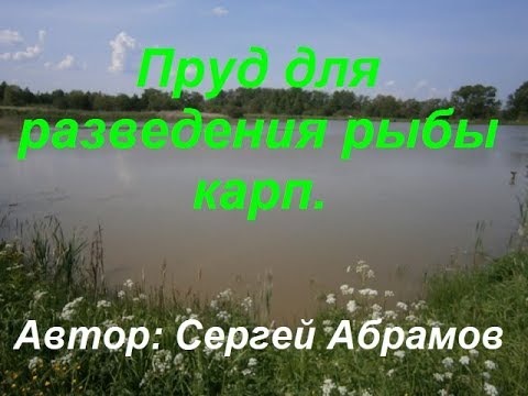 Видео: Пруд для разведения рыбы карп.