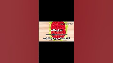 🌑🎀 #قرآن #ياسر_الدوسري #سورة_المؤمنون #سورة_المؤمنون #سورة_المؤمنون #dance #dance #blackpink #teksty