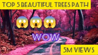 Top 5 Beautiful Trees Path Byentertainment Galaxy For Exitment...
