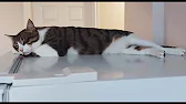 C_C_C
