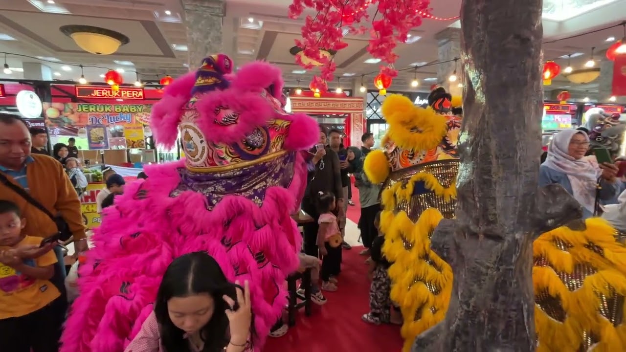 Barongsai #fypシ゚viral #shortvideo #barongsai 