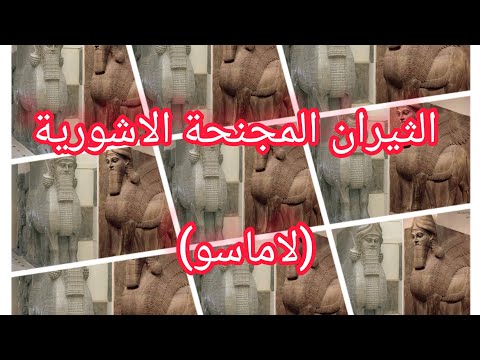 الثيران المجنحة الاشورية لاماسو حاتم ثويني