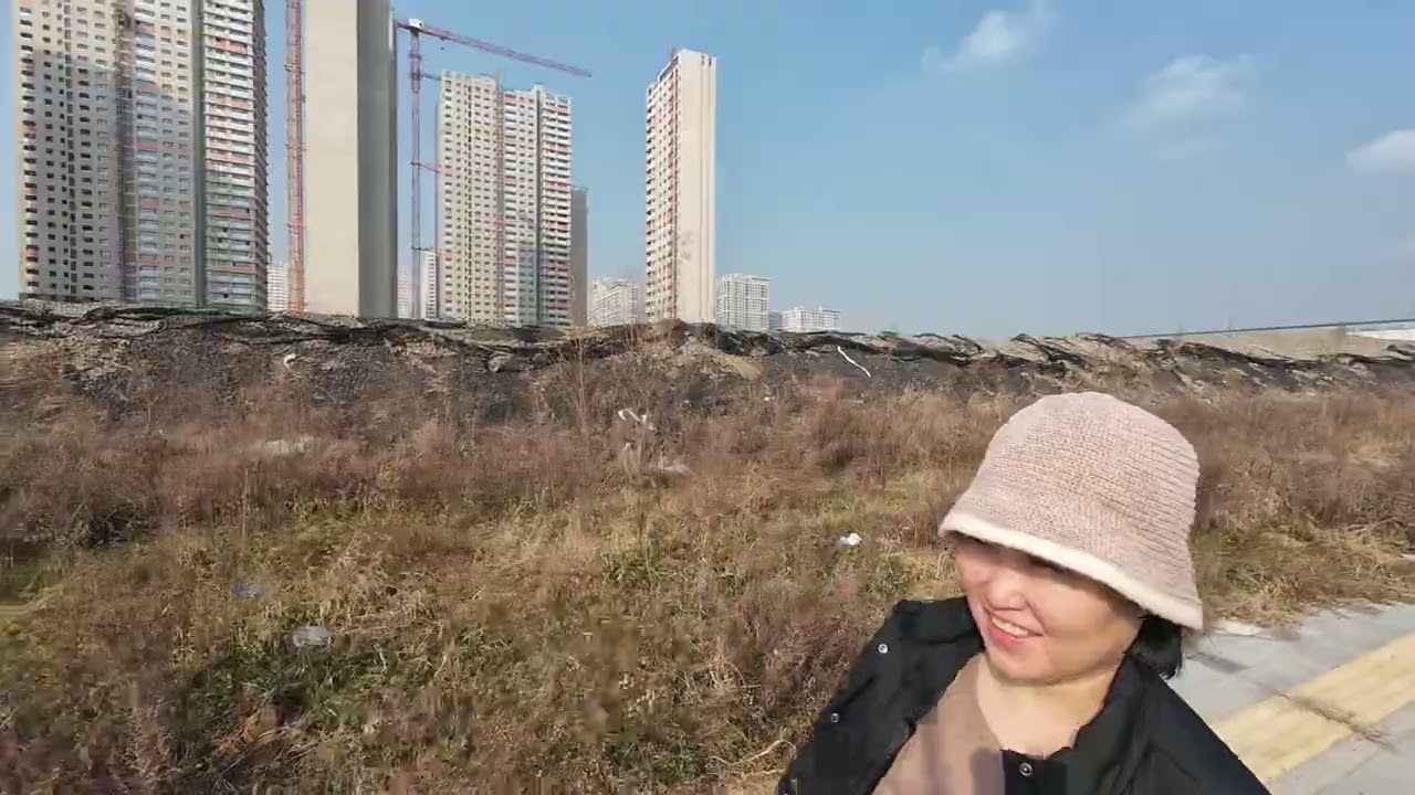 평택 브레인시티 임장 | 지금 알아야 할 핵심 정리