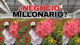 La fabrica de FLORES NATURALES más impresionante de México