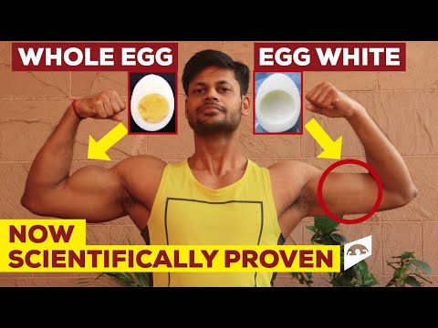 EGG WHITE VS EGG YOLK FOR BODYBUILDING || 40 % MORE MUSCLE GROWTH