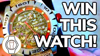 BODERRY URBAN TITANIUM WATCH REVIEW (Episode 79)