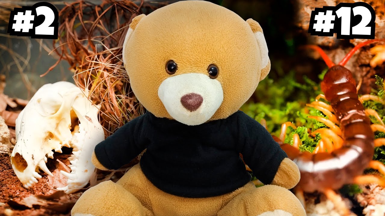 EU RECRIEI TODOS OS BIOMAS DO PLANETA! React