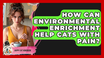 How Can Environmental Enrichment Help Cats With Pain? - Happy Cat Handbook
