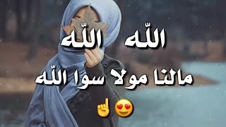 حالات واتس اب دينية || الله الله مالنا مولا سوى الله || مقاطع انستقرام قصيرة دينية || اناشيد دينية