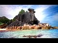 Video for " Cousin" Island, video, Seychelles,