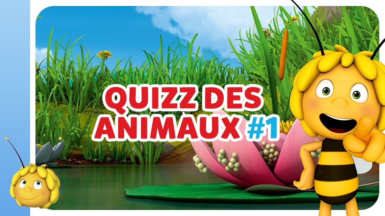 Quizz des animaux #1 - Maya L'Abeille | Dessin animé pour enfant - YouTube
