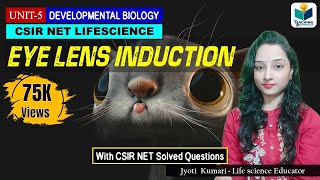 EYE LENS FORMATION || EYE LENS INDUCTION | CSIR NET| DEVELOPMENTAL BIOLOGY