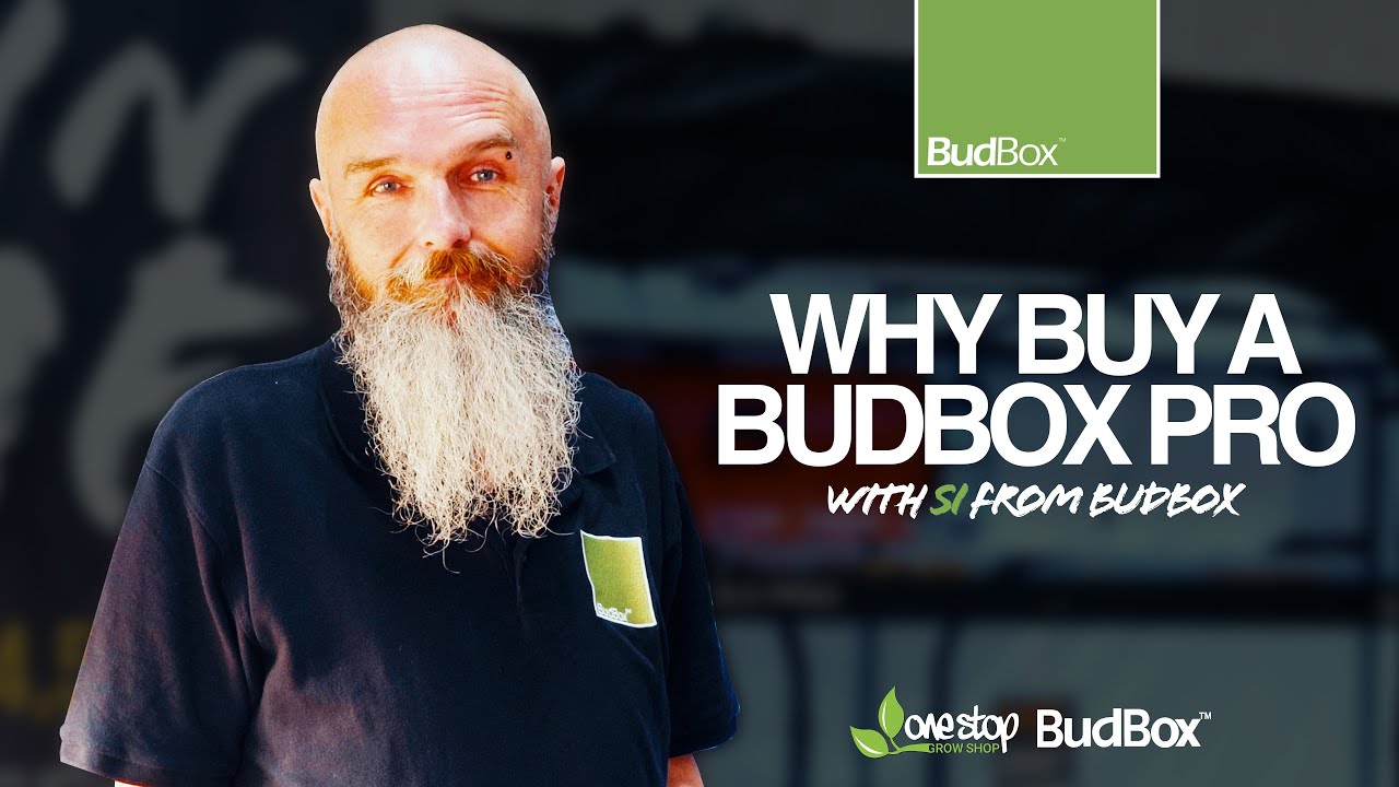 The Ultimate Grow Tent? Why You Need a BudBox Grow Tent for Indoor Gardening