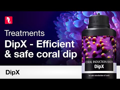 Red Sea DipX 250 ml fra MiniZoo