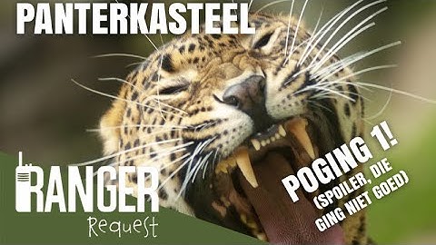 PANTERKASTEEL...POGING1 | Ranger Request