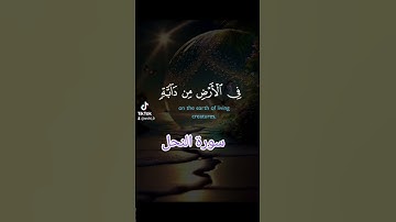 سورة النحل #duet #دعاء #تيك_توك #فولو #حالات_واتس #دعاءمستجاب #لايك #اسلام # قران - كريم