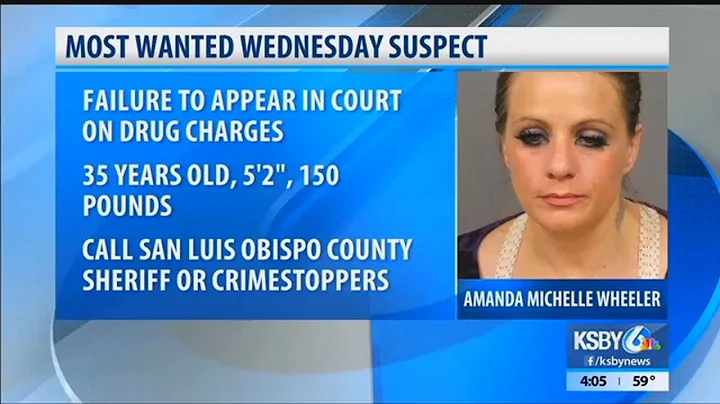 Most Wanted Wednesday: Amanda Michelle Wheeler
