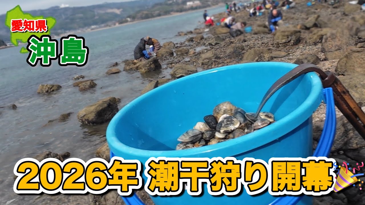 常識はずれの潮干狩り。無人島で岩だらけ！モウムリ！