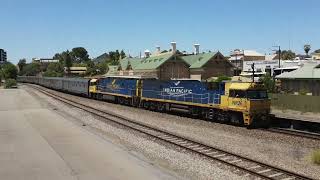 The Indian Pacific Passenger Train.