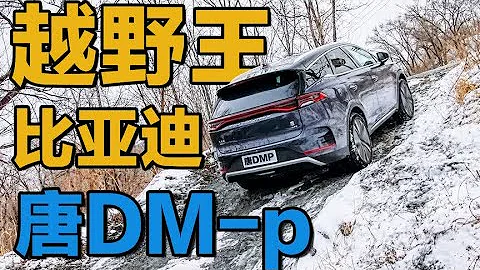 30多万你买比亚迪吗？唐DM-p没电了还强不强？越野体验+亏电测试 - 天天要闻